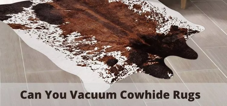 Can You Vacuum Cowhide Rugs