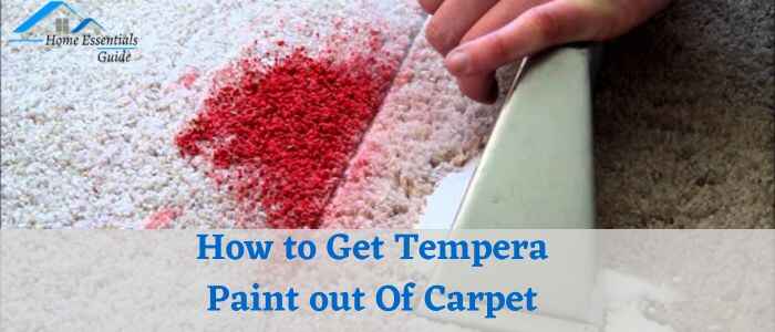 How to Get Tempera Paint out Of Carpet
